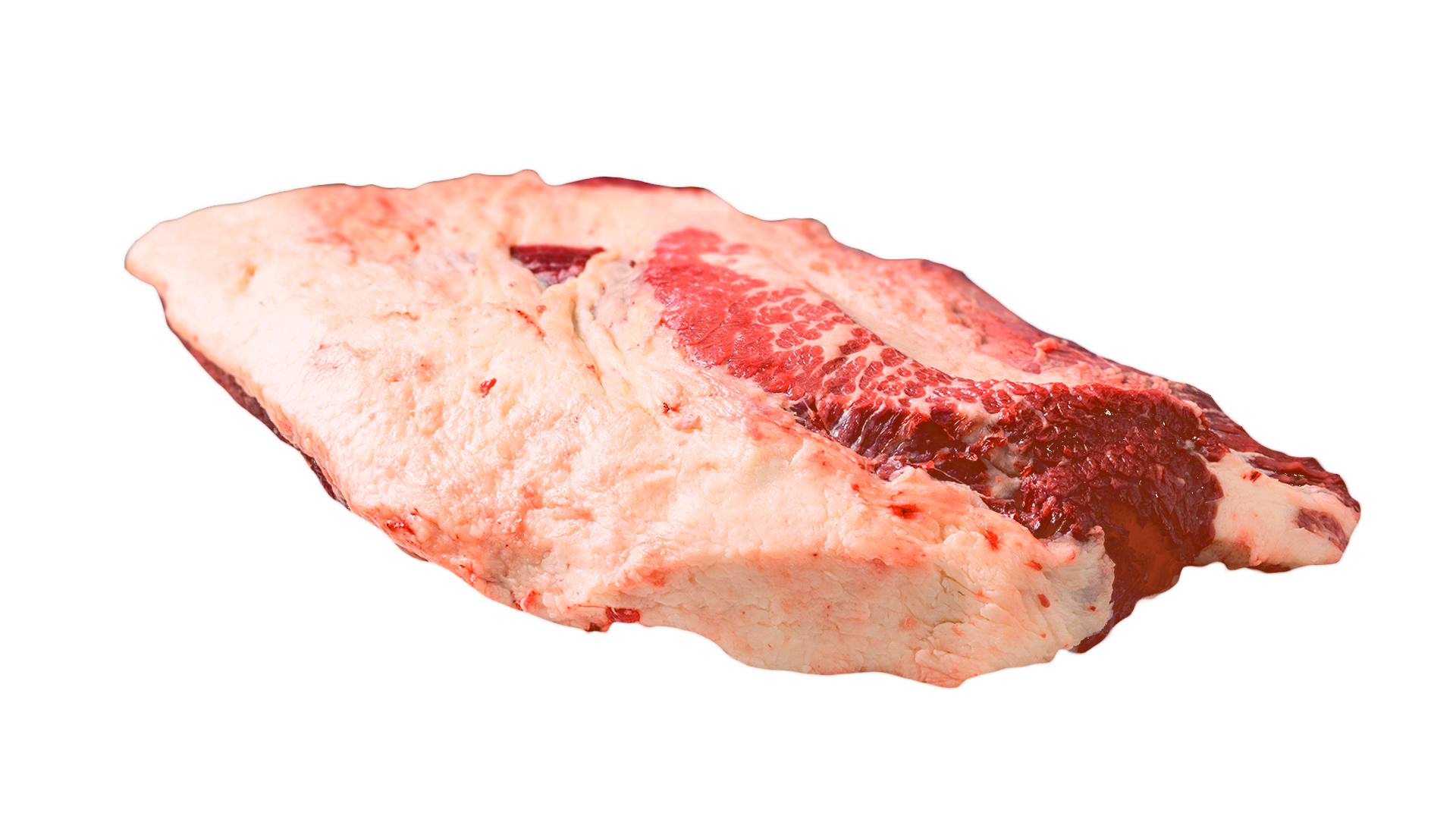 Provisórias-Sem-Fundo-FullHD-Brisket-2