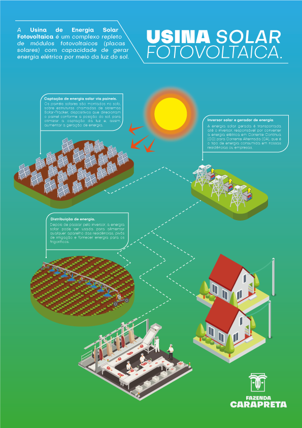 Infográfico Usina Fotovoltaica